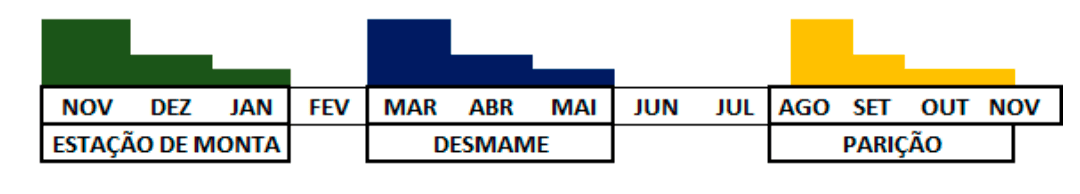 Gráfico explicativo da estação de monta