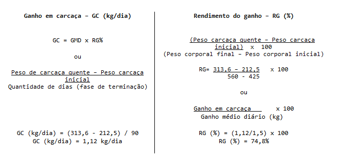 Imagem do cálculo de peso em carcaça do animal