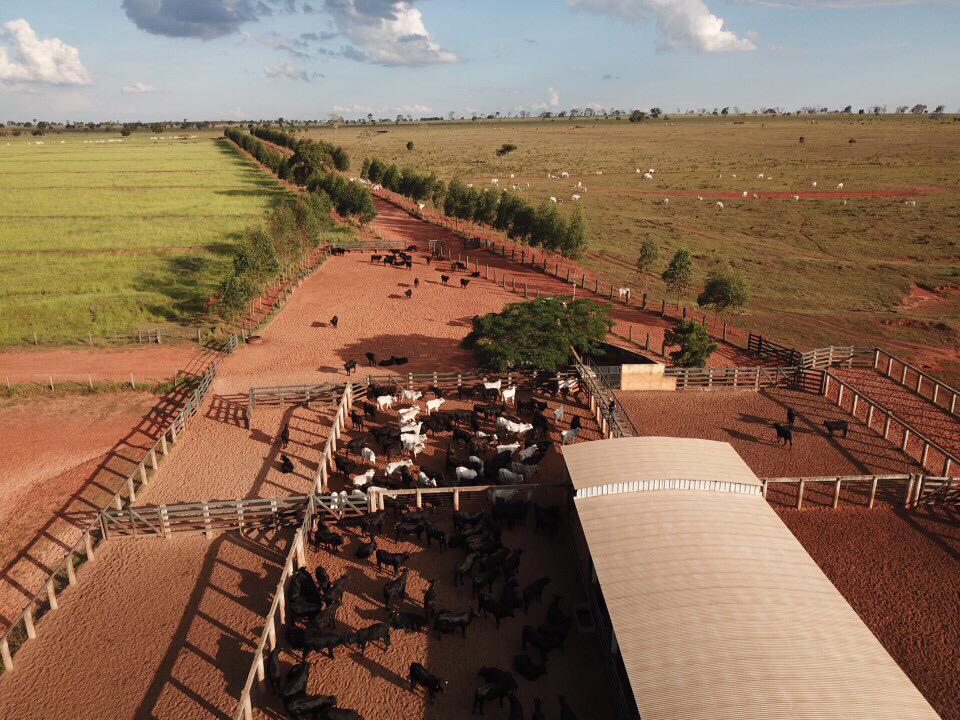 software para gestão pecuária