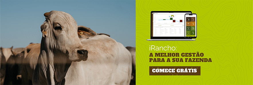 iRancho: sistema de gestão de fazenda