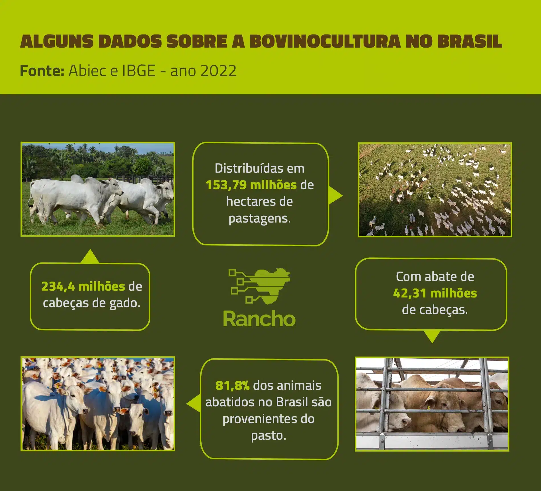 Dados sobre cabeças de gado