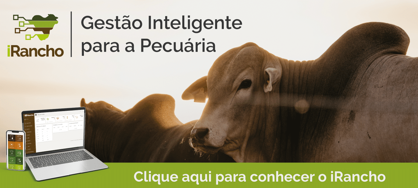 banner iRancho convidando pra testar