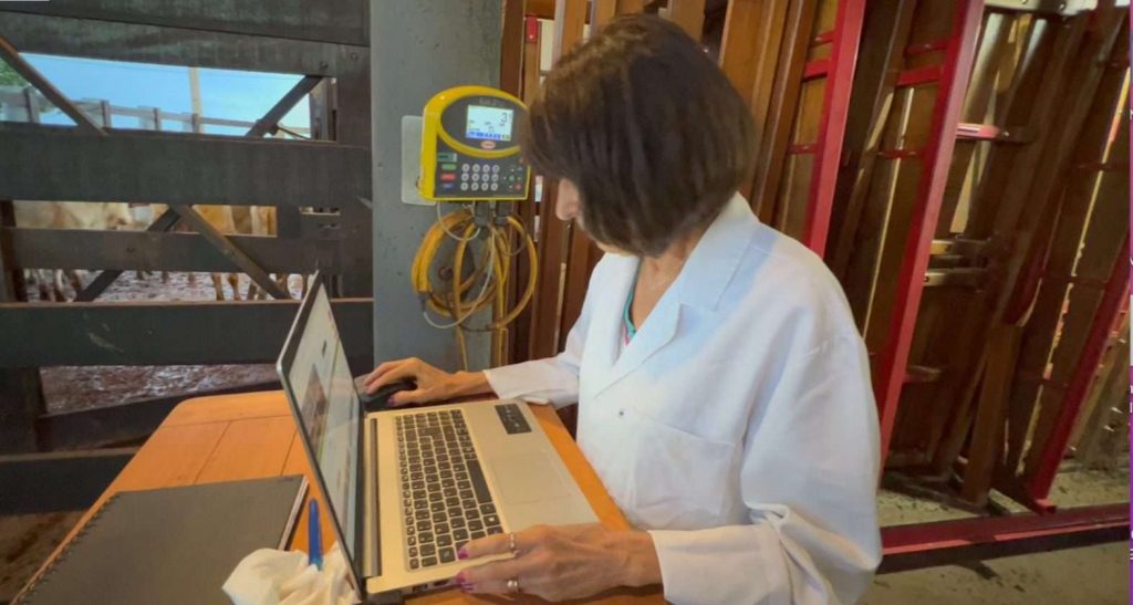 Gestão Digital com iRancho