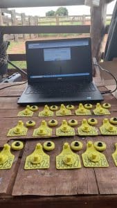 Gestão Digital com iRancho